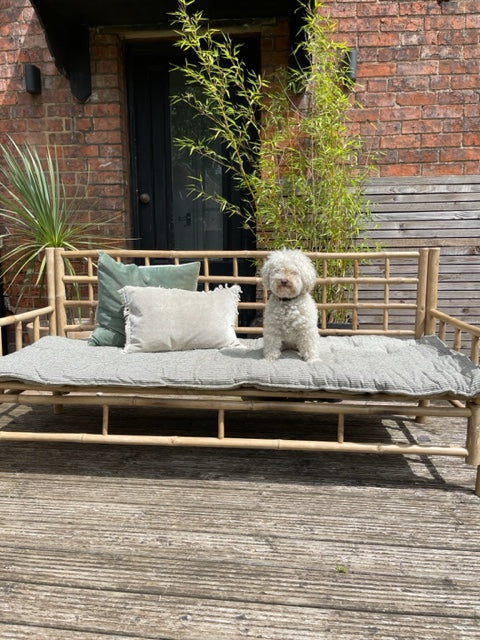 Maitri: Recycled Cream and Olive stripes mattress